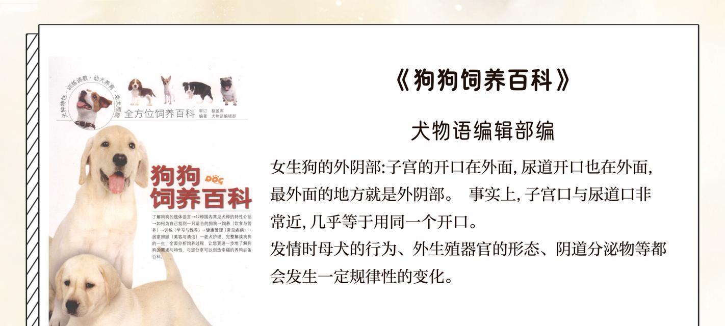 公犬生殖系统常见病及预防方法（公犬生殖系统疾病的种类与预防措施）