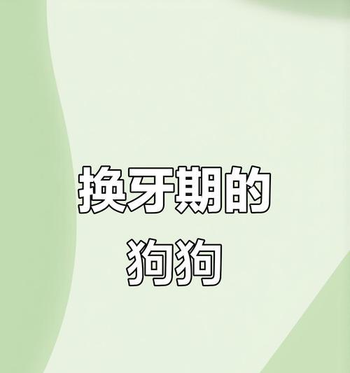 狗狗换牙时的注意事项（保护宝贝牙齿健康，你需要知道的15个要点）