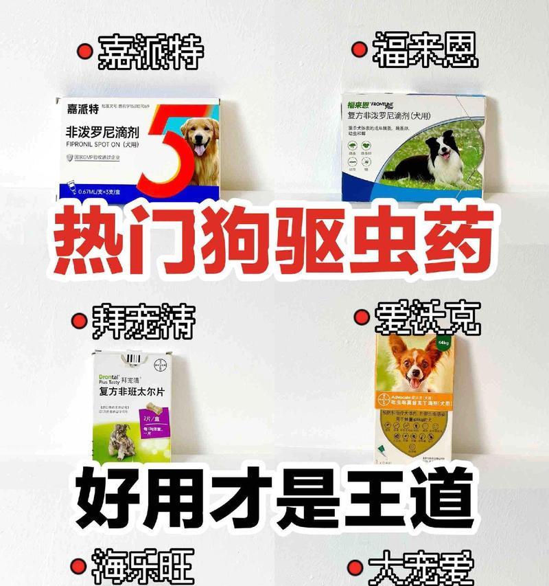 感冒后多久可以给狗狗驱虫（了解狗狗驱虫的最佳时机及注意事项）