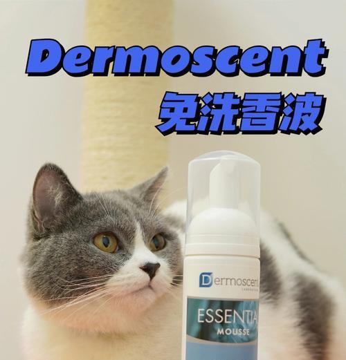 猫手术后多久可以洗澡？（科学指导和关键时期注意事项）