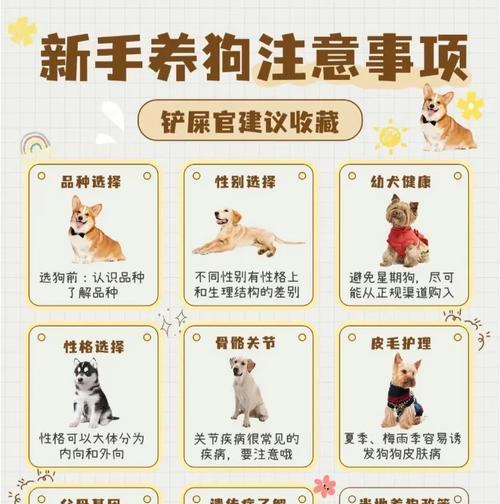 宠物狗狗到家后合适的洗澡时间（了解狗狗的生理发育阶段及其洗澡需求）