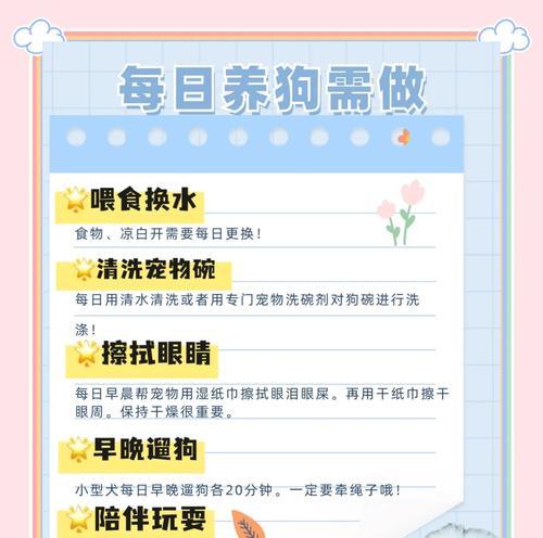 如何正确给狗狗量体温（了解狗狗体温测量方法及注意事项）