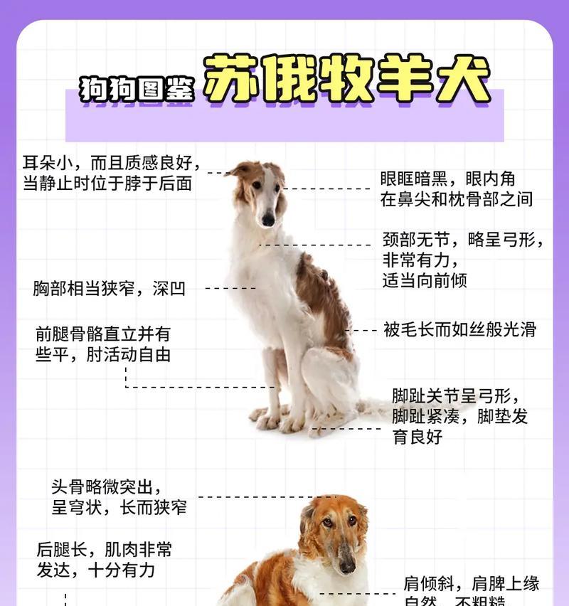 从幼犬到成狗（探究苏牧成狗的发育时间及相关影响因素）