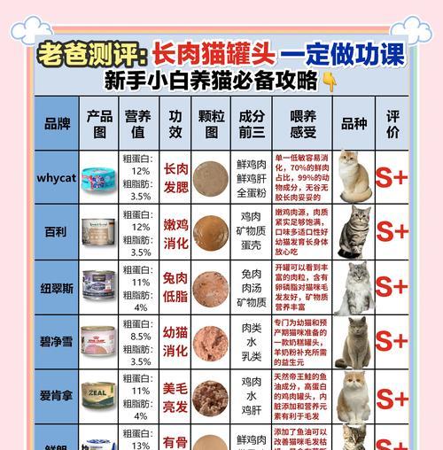 猫咪是否需要食用罐头？（了解喂食目的、频率和数量的重要性）