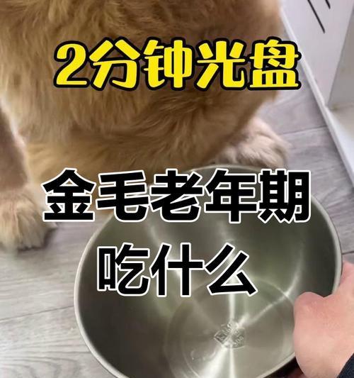 美容秘籍（探索金毛外貌养护的关键食物）