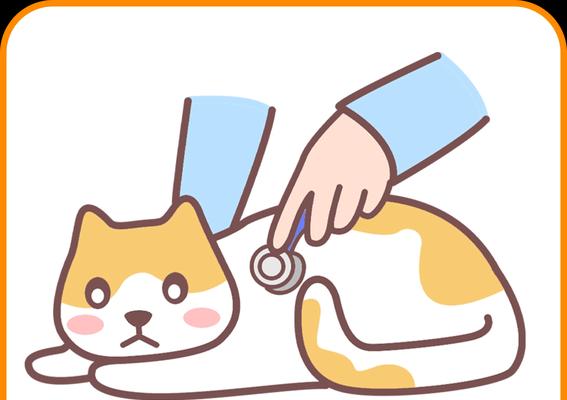 夏天如何给猫咪降温？（猫咪散热机制及降温方法）