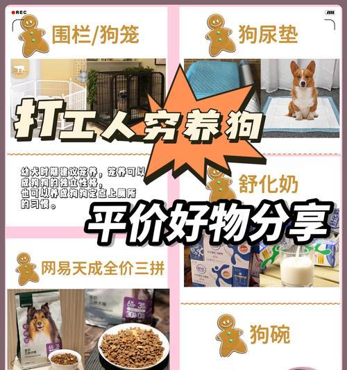 狗狗的用品大全（让你的爱犬过得更舒适，）