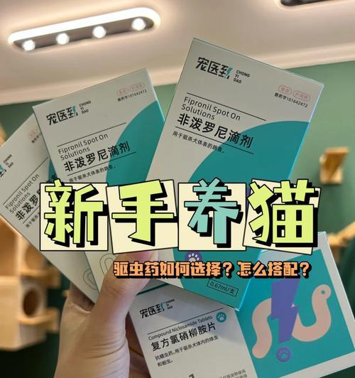 巨型贵宾犬如何解决瘦得皮包骨的问题？（重视驱虫问题，让贵宾犬恢复健康）