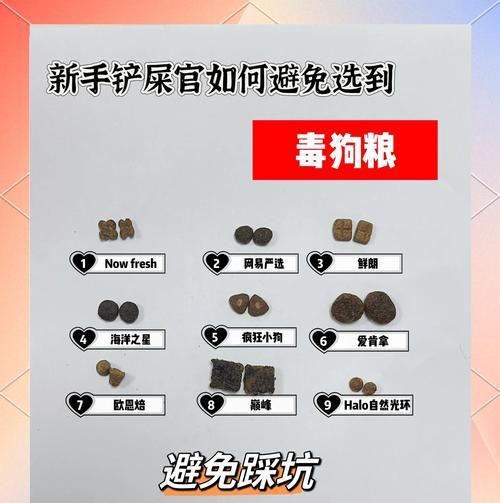 狗粮与狗狗呕吐（为什么狗狗会呕吐狗粮？了解症状和解决方案）