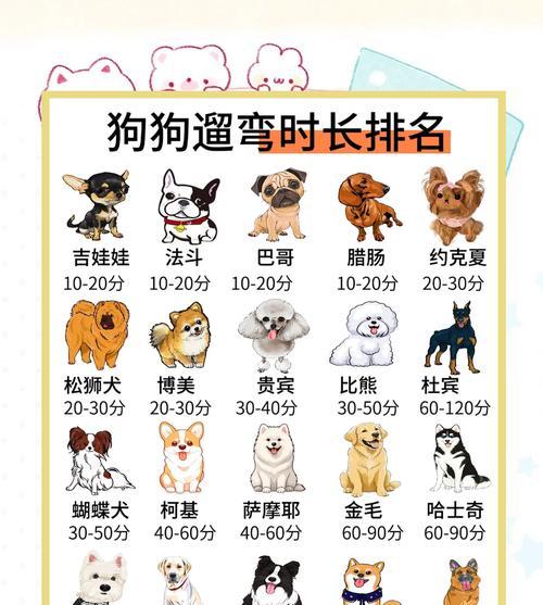 幼犬晒太阳的最佳时间和持续时间（为宠物狗提供合适的日晒时间，促进健康生长）
