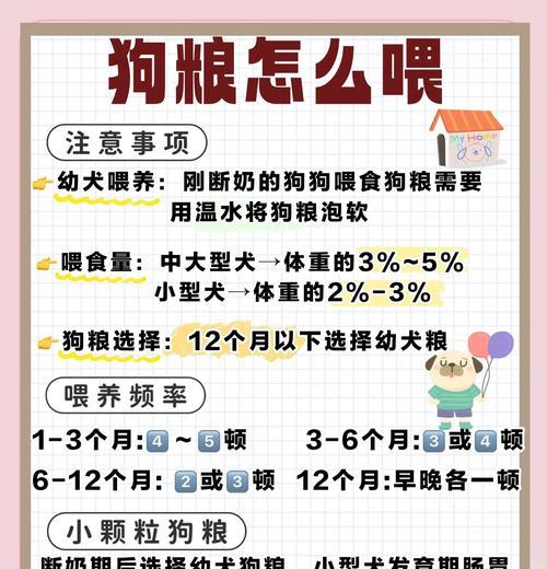 幼犬喂食频率