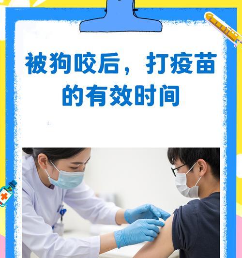 犬打疫苗的时间表（揭秘犬只不同年龄段的疫苗接种时间）