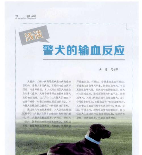 狗狗输血的风险及注意事项（保障狗狗安全，合理进行输血）