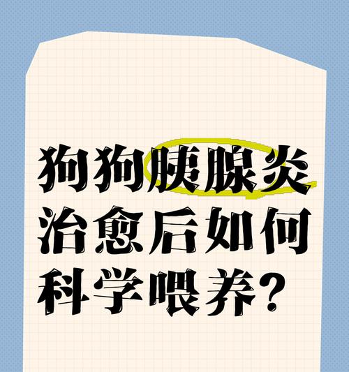 狗狗胰腺炎恢复期饮食时间（探究狗狗胰腺炎康复过程中能够摄入食物的时间及注意事项）