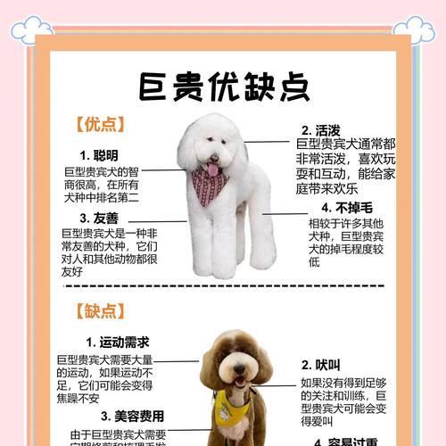 贵宾出生（揭秘贵宾狗独特的孕期和分娩过程）