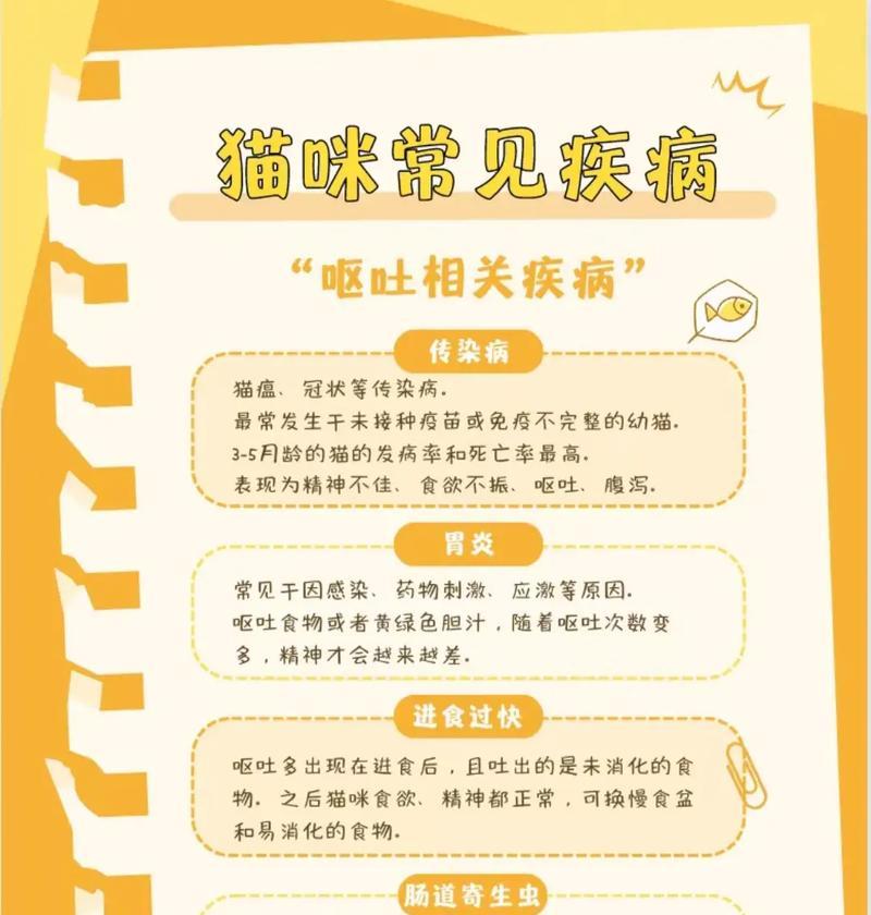 猫的常见疾病及预防方法（探索猫咪的健康世界）