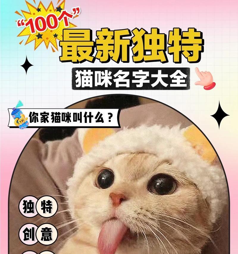 探寻猫的世界——名字为主题的文章（猫的名字种类多样，让我们一起了解其中的奥秘吧！）