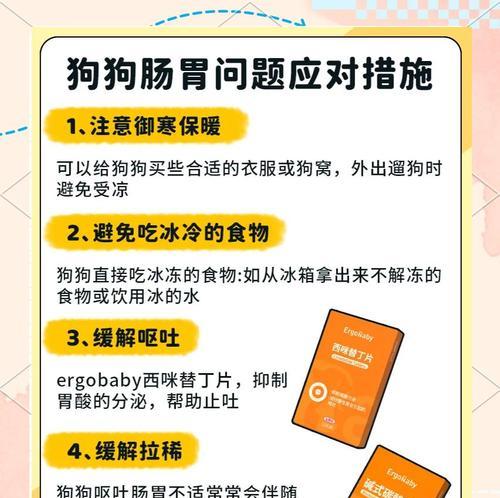 泰迪呕吐原因及处理方法（宠物狗呕吐症状、常见原因及应急措施）