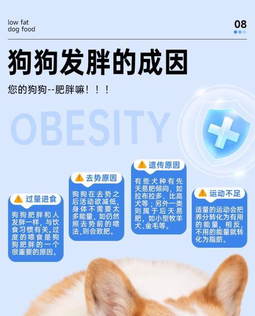 狗的消化系统（狗的消化过程及相关注意事项）
