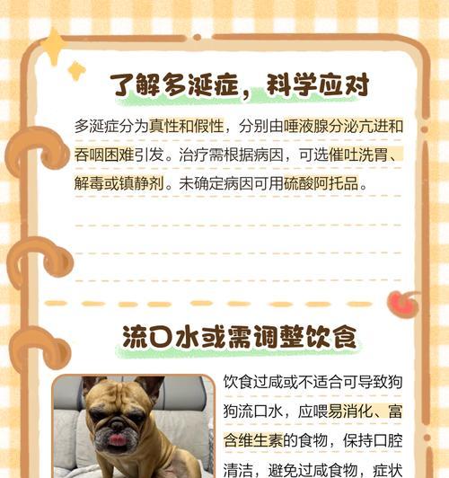 狗狗口腔炎的治疗方法（详解犬口腔炎的症状、诊断和治疗）