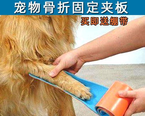 猫骨折外固定需要多长时间才能康复？（猫骨折外固定的效果及康复时间是多久？）