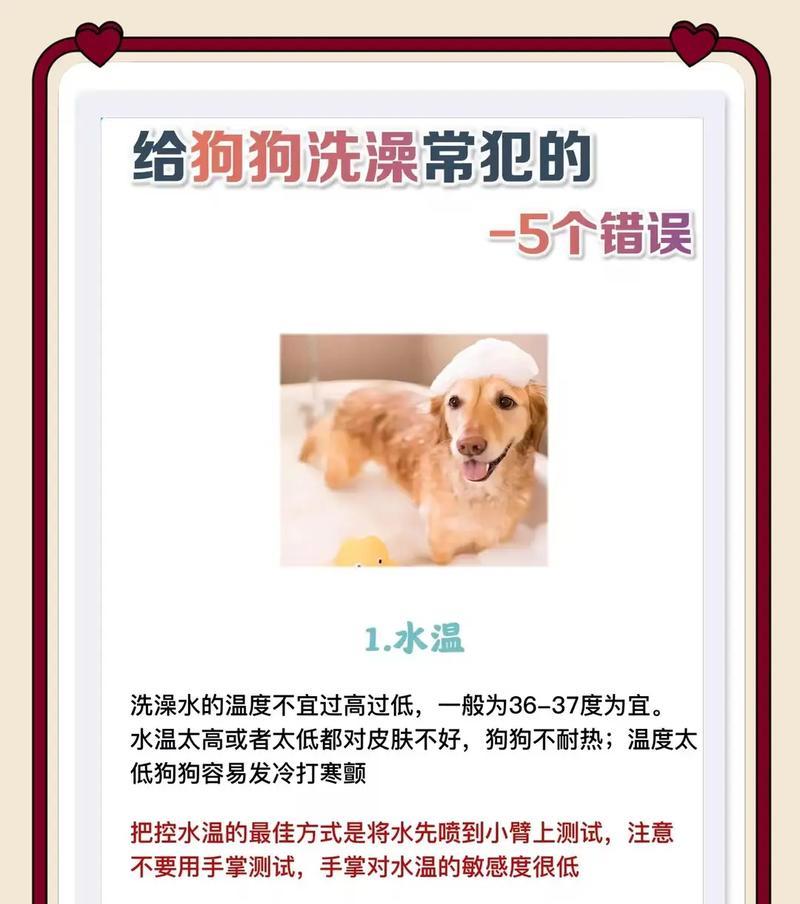 如何确定狗狗洗澡的频率（养狗人士必读）