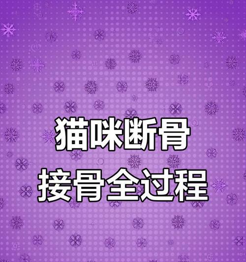 猫咪骨折康复时间及关键因素解析（骨折康复时间的影响因素及护理要点）