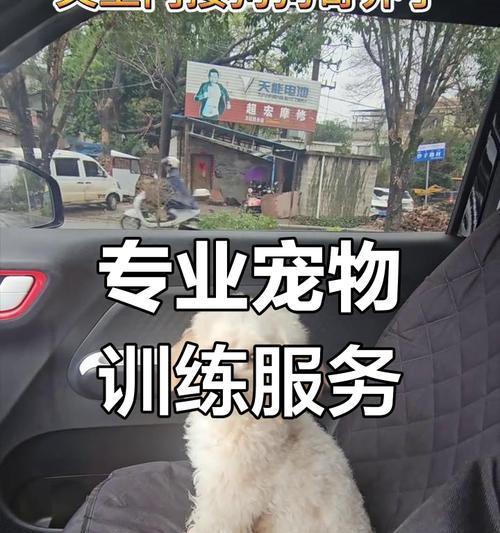 宠物培训学校需要培训多久？（探寻宠物培训学校的培训时长和效果）