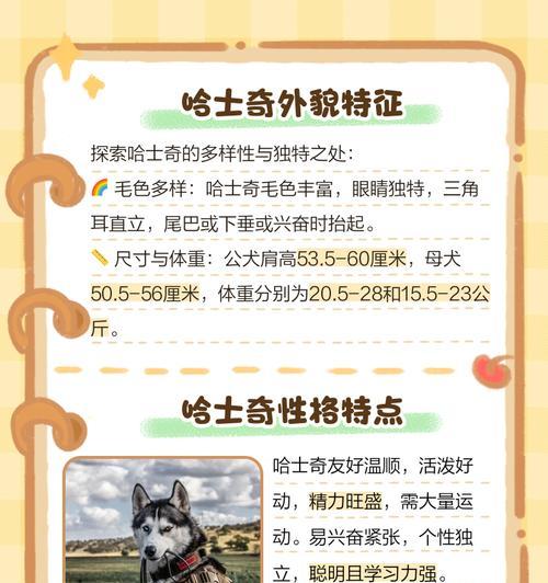 哈士奇为什么长个时间比其他犬种长？（解析哈士奇长个的原因及影响）