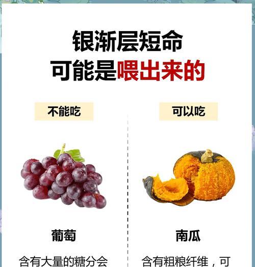 猫咪断食能力的探索与分析（揭秘猫咪的饥饿极限及其对健康的影响）