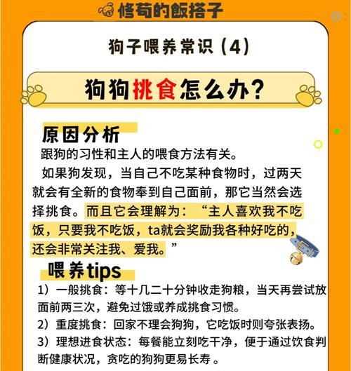 解决京巴狗不吃东西的问题（分析原因，针对问题解决）