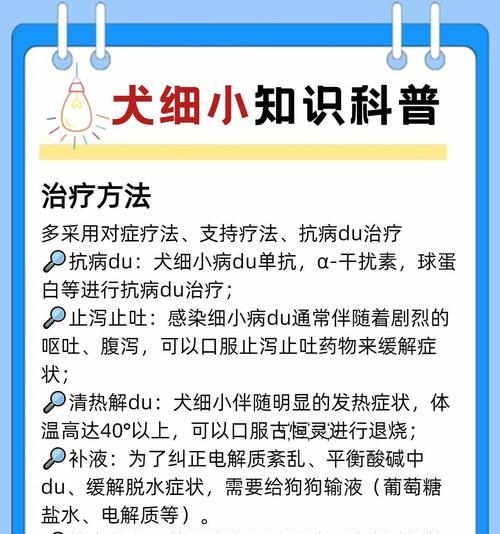 保护你的狗狗免受细小感染的重要性（接种细小疫苗，守护你的爱犬健康）