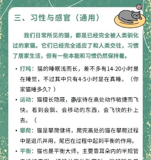 新手低成本养英短的最佳选择（适合学生党与新手铲屎官的完美宠物伴侣）