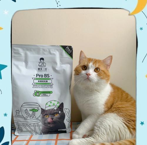 除了猫粮外，这几种平价食物也可以喂养英短猫（为您的英短猫提供多样化的饮食选择）