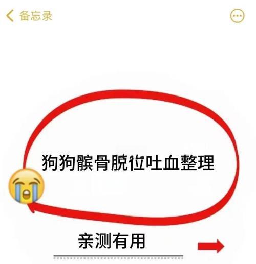 狗髌骨移位手术（治愈疼痛，恢复活动力——狗狗髌骨移位手术的一站式指南）
