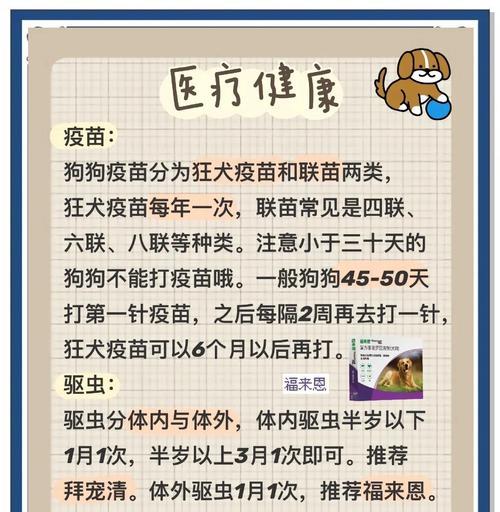 金毛狗疫苗接种时间和注意事项（宠物犬接种疫苗的必要性和常见疫苗类型）