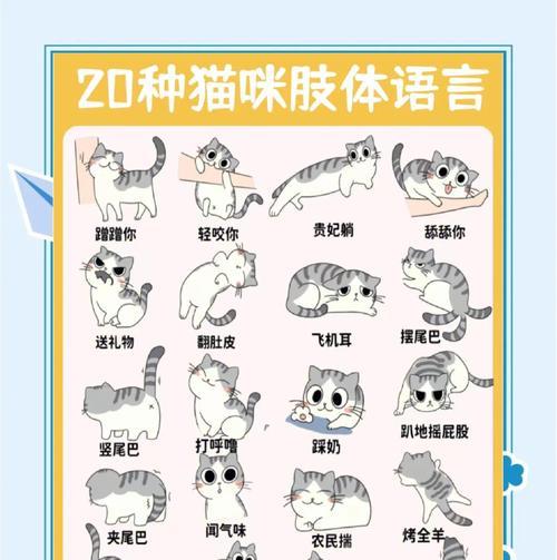 猫咪之间的交流方式（通过气味和肢体语言，猫咪之间如何有效地沟通）