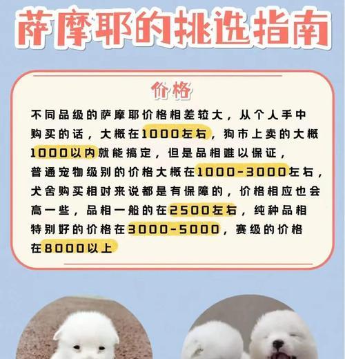 萨摩耶价格分析——从微笑天使到昂贵宠物（了解影响萨摩耶价格的因素和市场趋势）