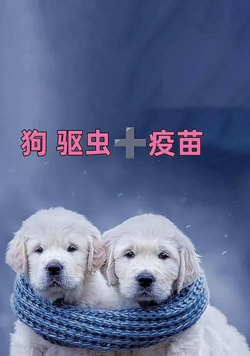 狗狗的驱虫疫苗（宠物健康的重要一环，疫苗接种时机详解）