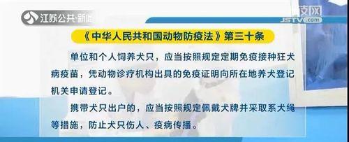 养狗必须知道的重要细节（牵狗绳教程，让你的爱犬更安全）