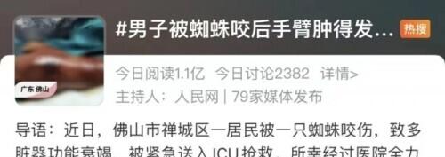 被蜘蛛咬伤竟致多脏器功能衰竭？夏季防虫的正确做法