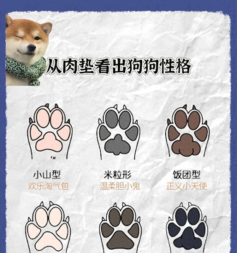 从狗狗肉垫看性格？看看谁家狗是戏精冠军！