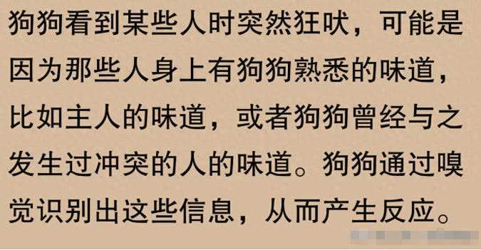 为什么狗狗看到某些人会突然狂吠？狗狗突然狂吠的几个原因