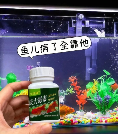 观赏鱼常用的抗生素有哪些？抗生素到底该怎么用？