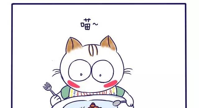 收养流浪猫前需要注意什么？带流浪猫回家前必做的几件事