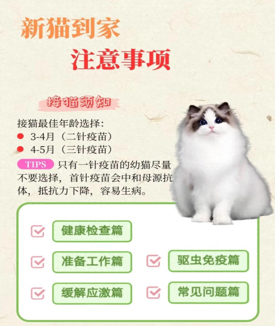 新猫到家该注意什么？小猫害怕躲起来咋办？