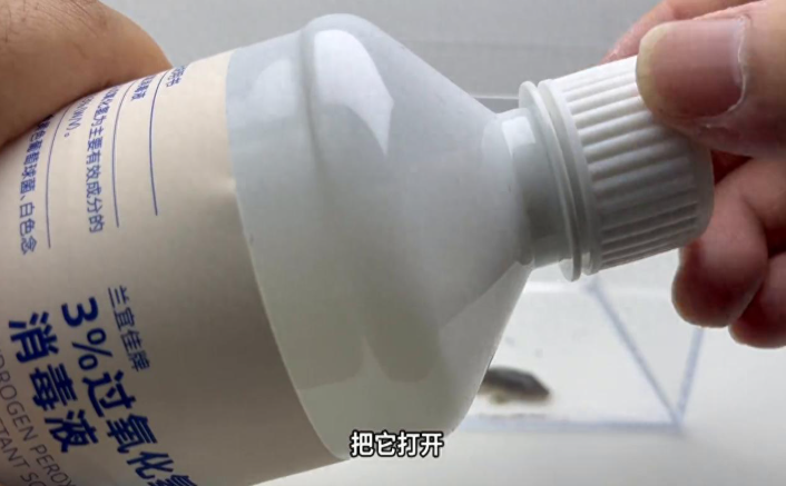 用双氧水给清道夫洗澡会发生什么事？
