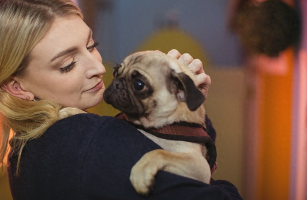 养巴哥犬需要注意什么？养巴哥犬要做的几件事和不能做的几件