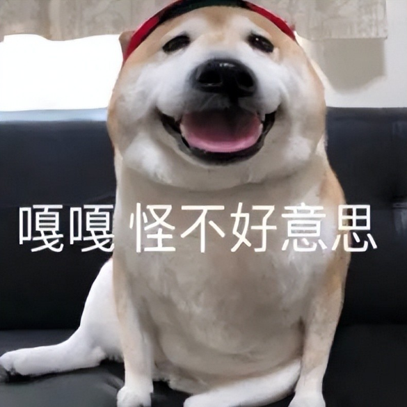 狗狗真的会有大姨妈么？狗的大姨妈要如何应对？