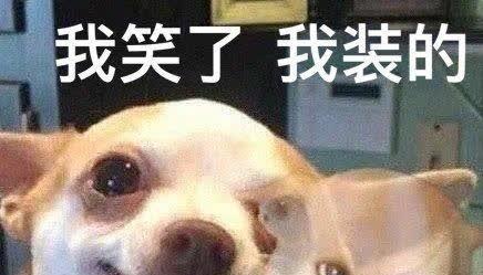 养狗必读！如何应对狗狗爆冲又喜欢咬人？